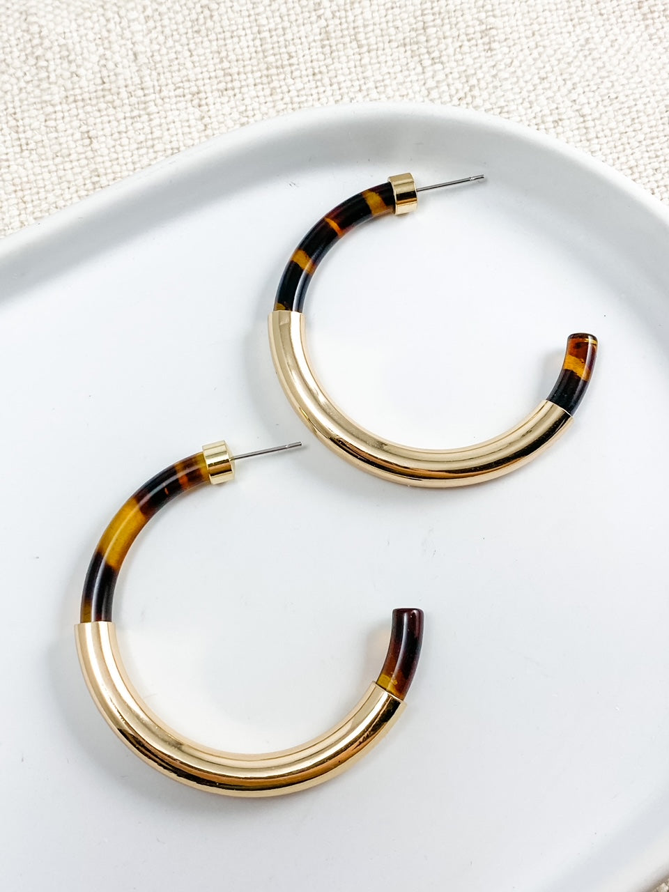 Roaming the City Hoops, Tortoise