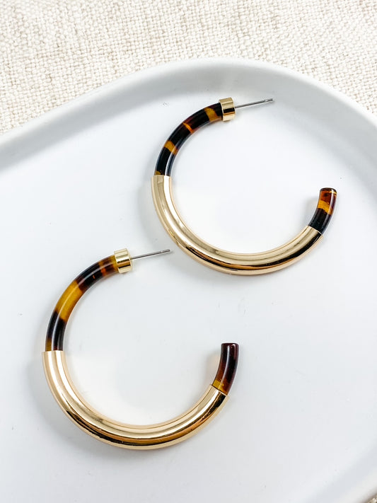 Roaming the City Hoops, Tortoise