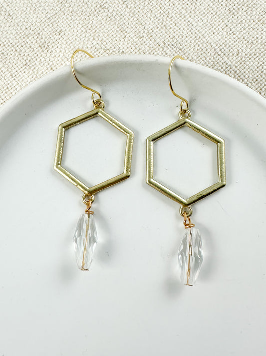 Clear Focus Earrings