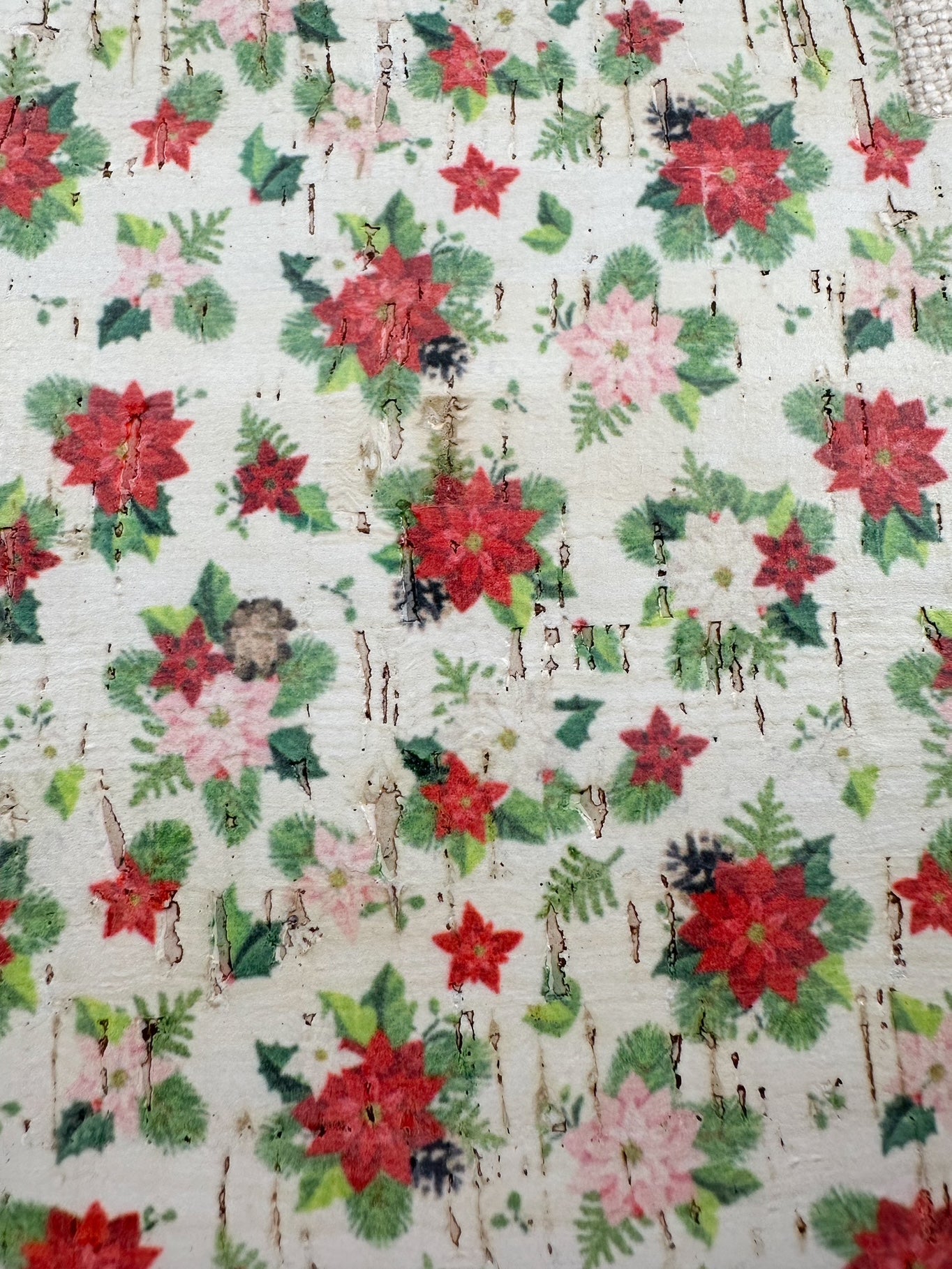 Winter Poinsettia Cork